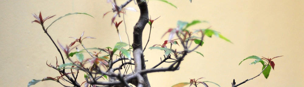   Finding What your Body Already Knows 